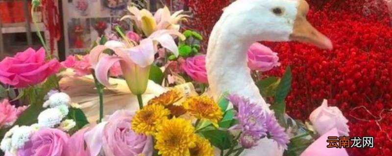 鲜花配大鹅是什么意思
