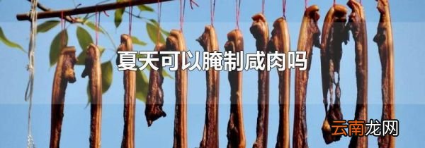 夏天可以腌制咸肉吗