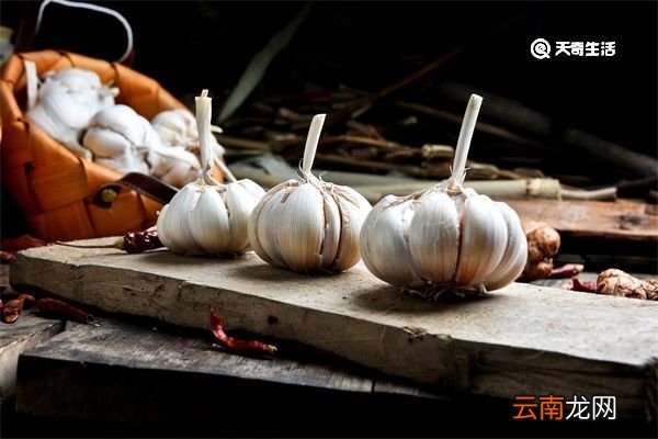 蒜柱有什么功效 蒜柱的功效