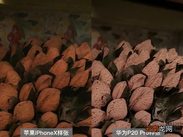 华为P20Pro和iPhoneX拍照哪个好？华为P20 Pro和iPhone X手机相机成像对比图赏