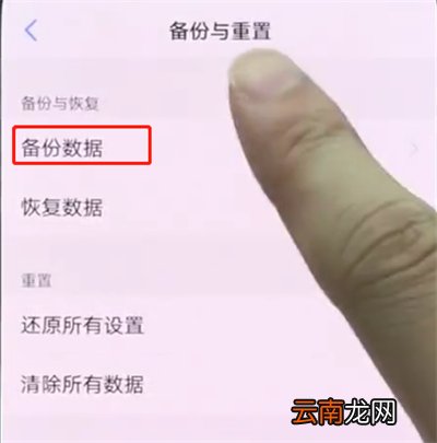 vivonex中备份的操作方法