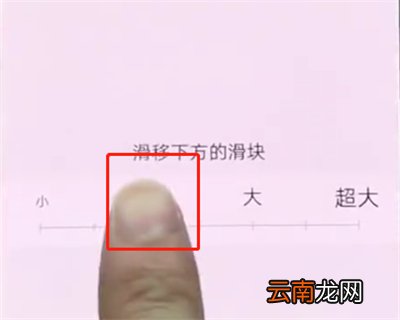vivonex中设置字体大小的简单步骤