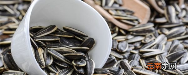 毛嗑和瓜子区别 毛嗑和瓜子有什么不同