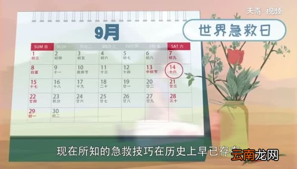 世界急救日的由来 世界急救日是哪一天