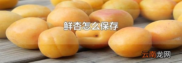 鲜杏怎么保存