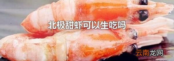 北极甜虾可以生吃吗
