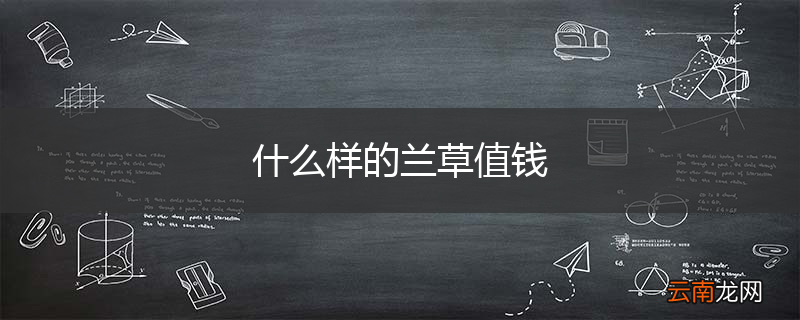 什么样的兰草值钱