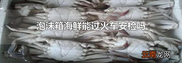 泡沫箱海鲜能过火车安检吗