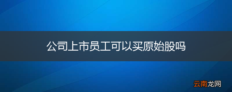 公司上市员工可以买原始股吗