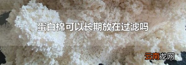 蛋白棉可以长期放在过滤吗