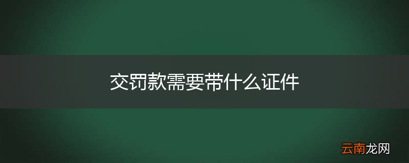 交罚款需要带什么证件