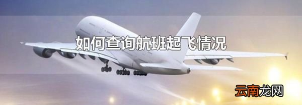如何查询航班起飞情况