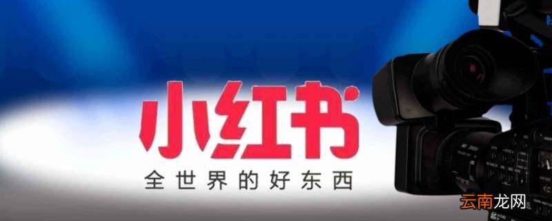 小红书pr是什么意思
