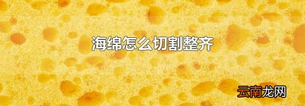 海绵怎么切割整齐