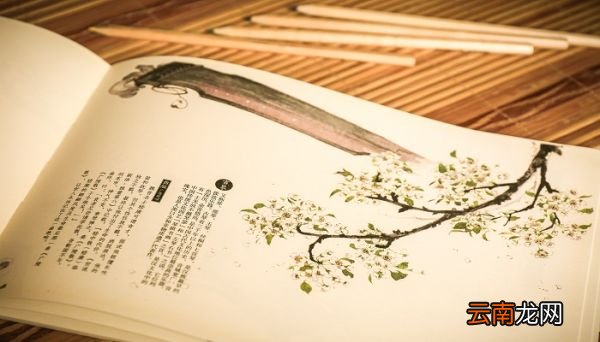 伐竹取道中的道是什么意思 伐竹取道的翻译