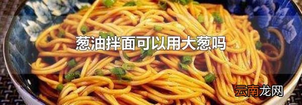 葱油拌面可以用大葱吗