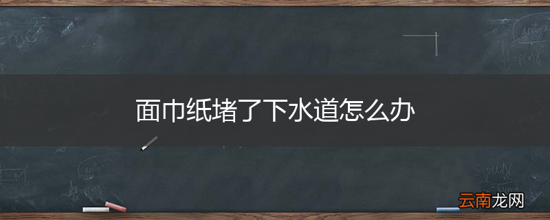 面巾纸堵了下水道怎么办