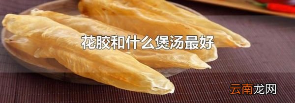 花胶和什么煲汤最好