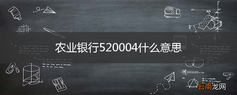 农业银行520004什么意思