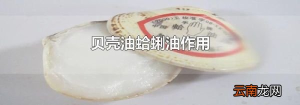 贝壳油蛤蜊油作用
