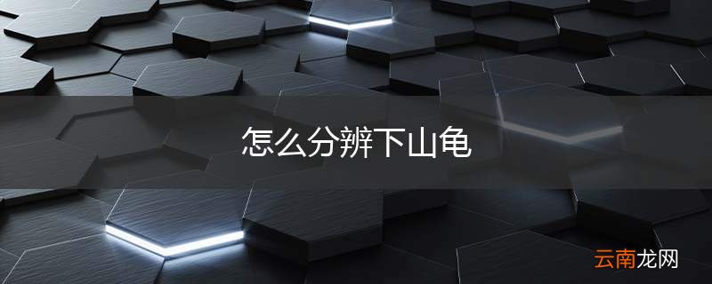怎么分辨下山龟