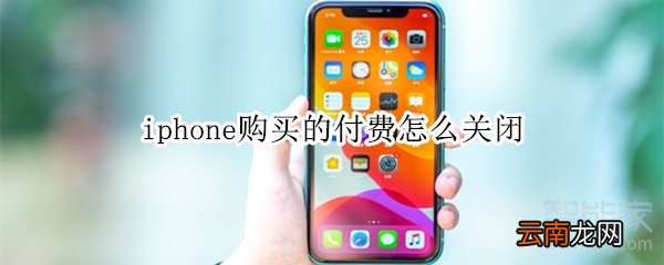 iphone购买的付费怎么关闭