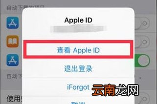 iphone购买的付费怎么关闭