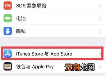 iphone购买的付费怎么关闭