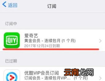 iphone购买的付费怎么关闭