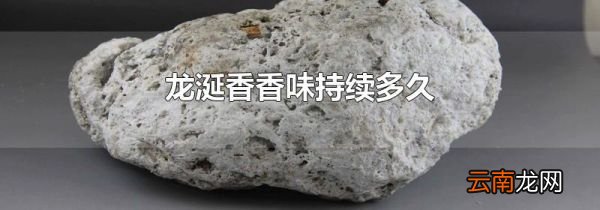 龙涎香香味持续多久