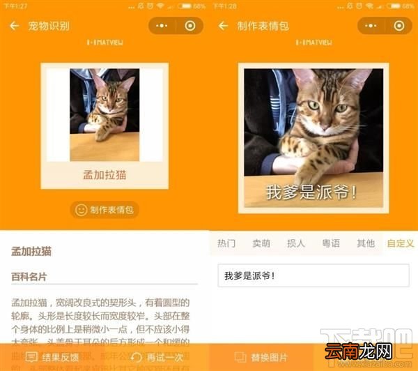 吸猫微信小程序推荐，人猫交流器让你家宠物更软萌可爱