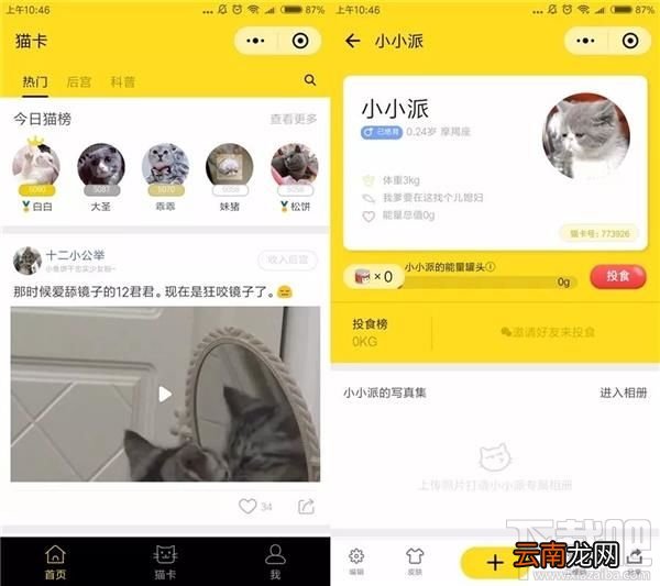 吸猫微信小程序推荐，人猫交流器让你家宠物更软萌可爱