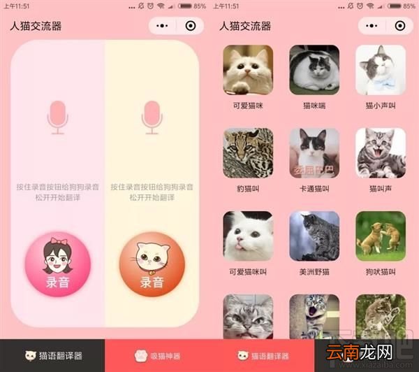 吸猫微信小程序推荐，人猫交流器让你家宠物更软萌可爱