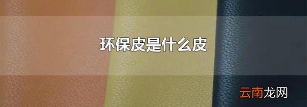 环保皮是什么皮