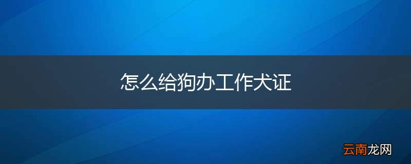 怎么给狗办工作犬证