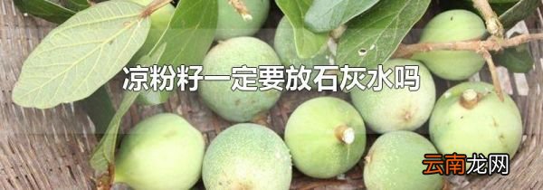 凉粉籽一定要放石灰水吗