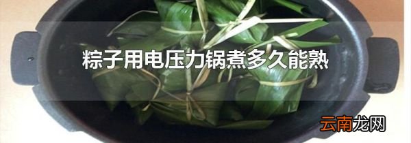 粽子用电压力锅煮多久能熟