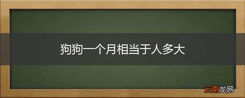 狗狗一个月相当于人多大