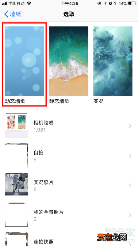 iphonexr动态锁屏怎么设置