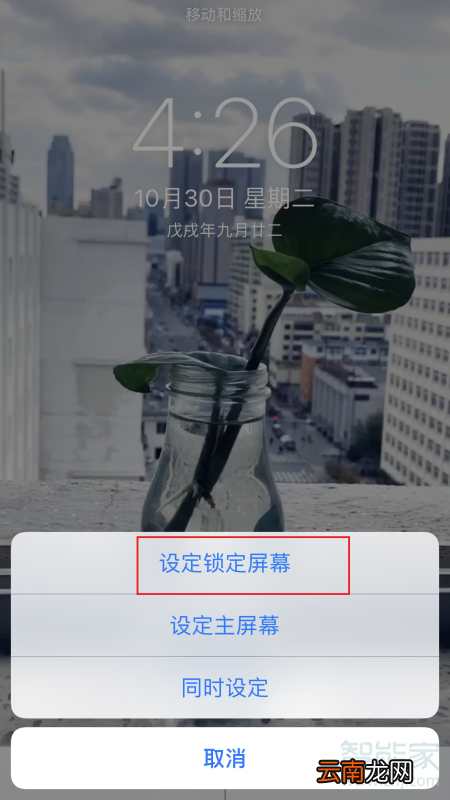 iphonexr动态锁屏怎么设置