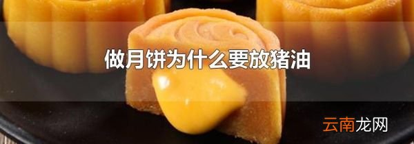做月饼为什么要放猪油