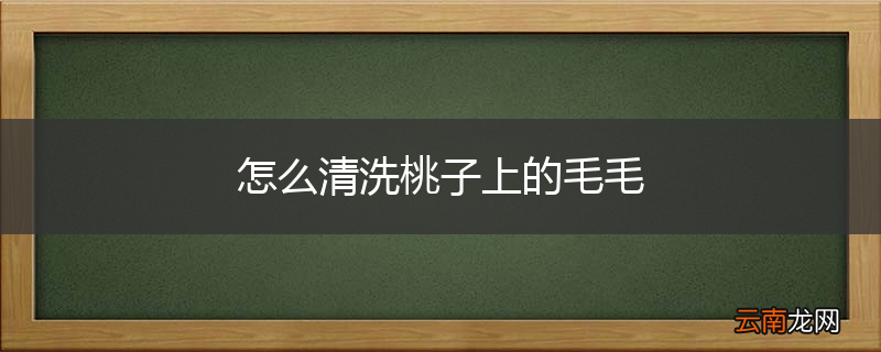 怎么清洗桃子上的毛毛