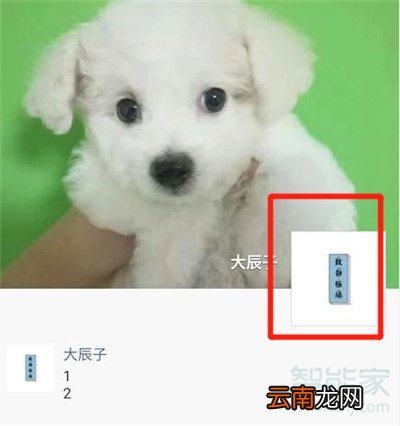 微信朋友圈怎么才能出现详情