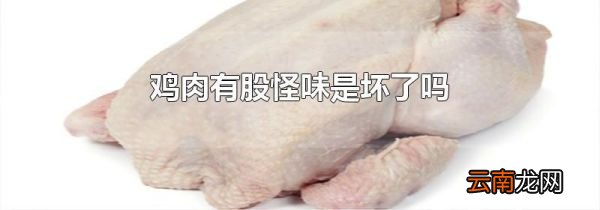 鸡肉有股怪味是坏了吗