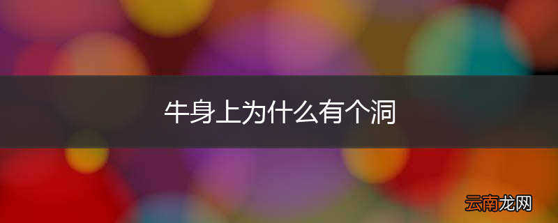 牛身上为什么有个洞