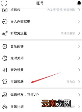 虾米音乐可以自定义皮肤吗