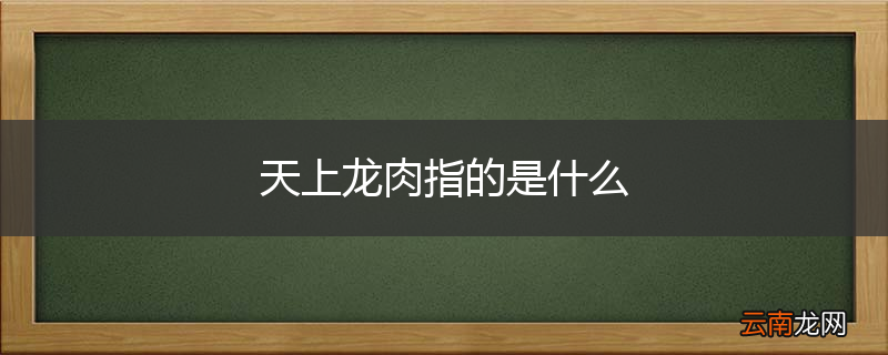 天上龙肉指的是什么