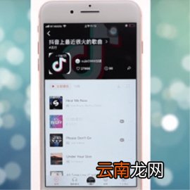 虾米音乐歌词怎么下载