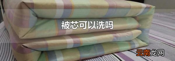 被芯可以洗吗