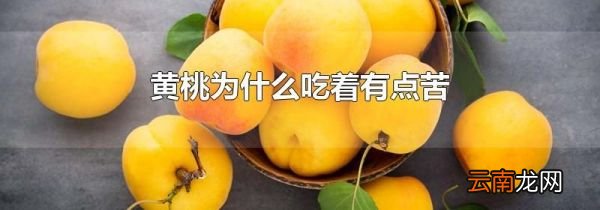 黄桃为什么吃着有点苦